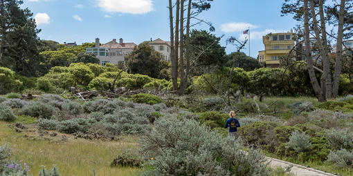 Jogger on Lobos Creek boardwalk