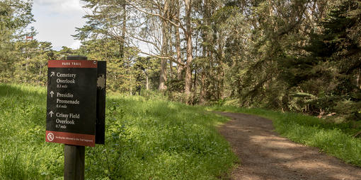 Presidio Park Trail