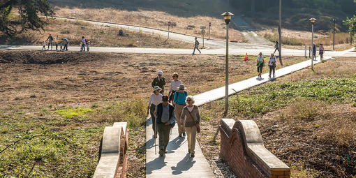 Trail in the Tennessee Hollow Watershed