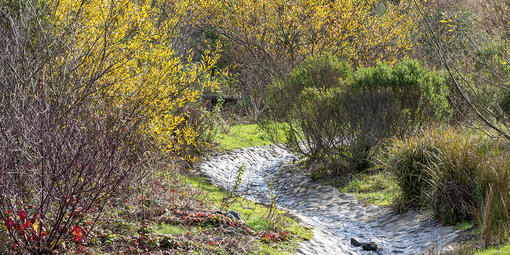 El Polín Spring