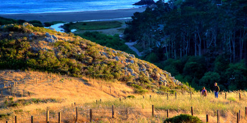 Dias Ridge Trail