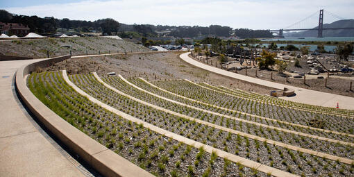 Built into the hillside, Presidio Steps face the Golden Gate Bridge. 