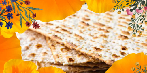 A festive Passover image