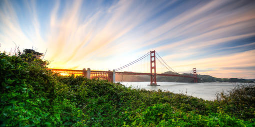 Shot of Golden Gate Bridge from Crissy Field Area