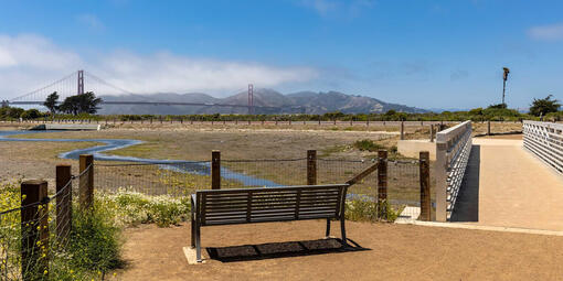 A sunny day over Crissy Field Marsh.