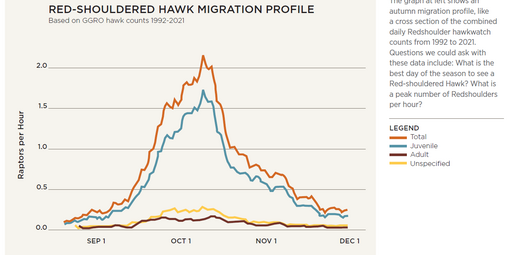 A graph of daily hawkwatch counts over 30 years, with four peaks, two taller peaks representing total and juvenile hawks, and two lower peaks showing adult and unspecified hawks.