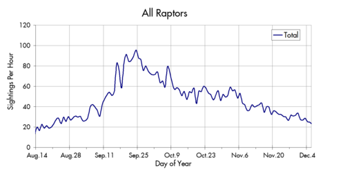 Raptor migration trends at the Marin Headlands