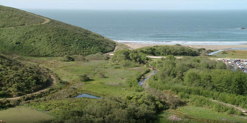 Restoring Redwood Creek