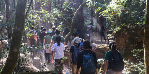 Urban Trailblazers student youth program on a hike through redwood forest