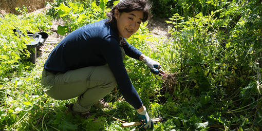 Weeding, gardening