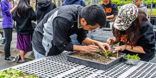 Nursery volunteers