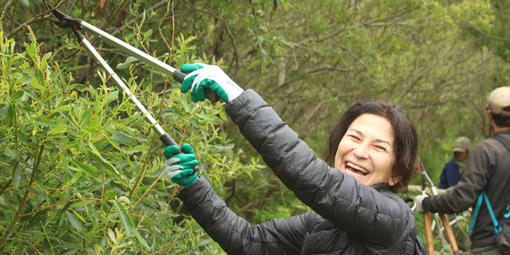 A volunteer uses plant shears to trim a bush along a trail