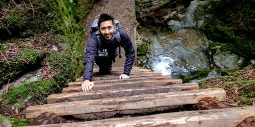Steep Ravine Trail, Mount Tamalpais