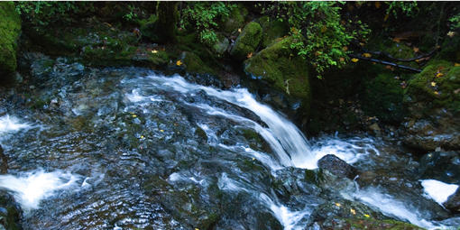 Waterfall along the Cataract Falls Trail