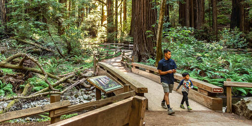 Two people walk across Bridge 2 at Muir Woods with greenery and redwood trees.