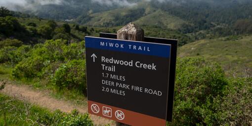 Trail signs along the Dias Ridge Trail