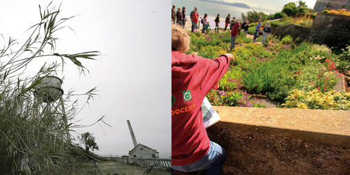 Alcatraz before and after