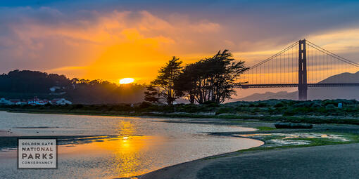 Sunset over salt marsh, Crissy Field