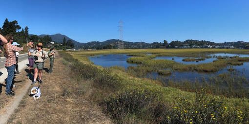 The Mill Valley-Sausalito multi-use path runs through Bothin Marsh