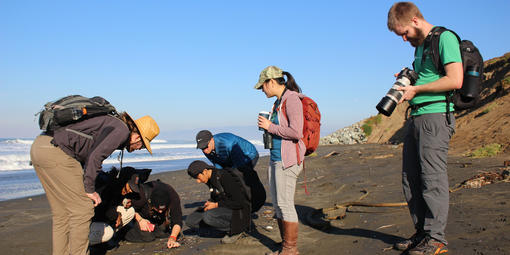 Lands End Coastal Walk with San Francisco Park Stewardship