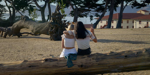Couple sits on felled tree looking towards the Golden Gate Bridge