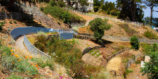 Black Point Historic Gardens with Flowers