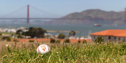 A baseball with the SF Giants logo lays on the green lawn at Fort Mason with a view of the Golden Gate Bridge in the background.