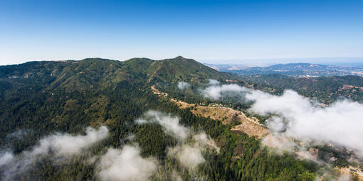 the green outline of Mt. Tamalpais is viewed against a blue sky. The photo is taken at an oblique angle, a trail leads from the bottom right among some white patches of fog.