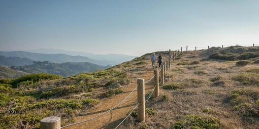 Trail along Milagra Ridge
