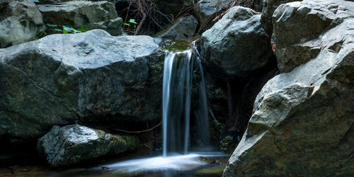 Catract creek, Mt. Tam