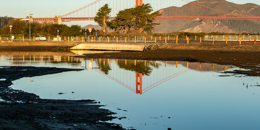 Golden Gate Bridge reflecting in Quartermaster Reach saltwater marsh