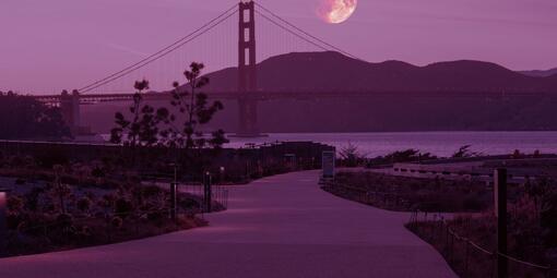 Pink Full Moon at the Presidio Tunnel Tops