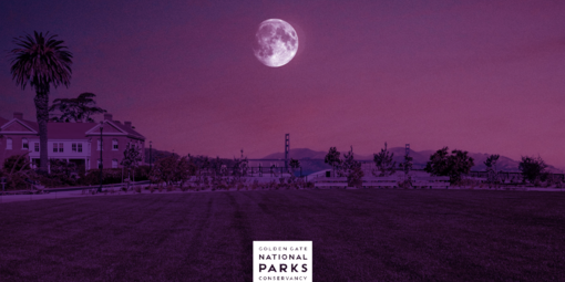 Pink Full Moon Hike and Party Design