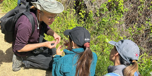 Discovering local flora and fauna during the City Nature Challenge.