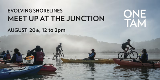 Bikers and kayakers merge along Bothin Marsh's multi-use path at high tide