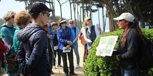 What's the Flower walk with San Francisco Stewardship team