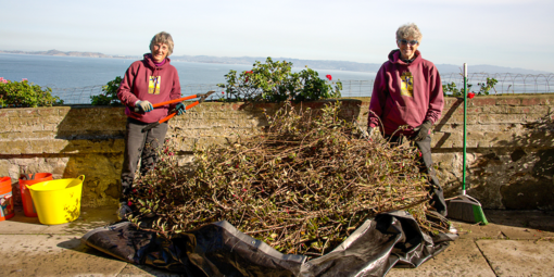 Alcatraz Garden Volunteers