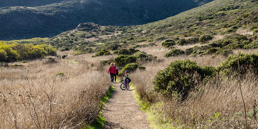 Tennessee Valley trail