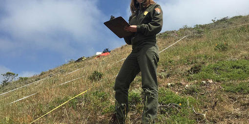 Alison Forrestel looks up for a smile among vegetation plots.