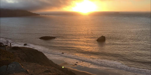A view of the Pacific Ocean from the Presidio bluffs.
