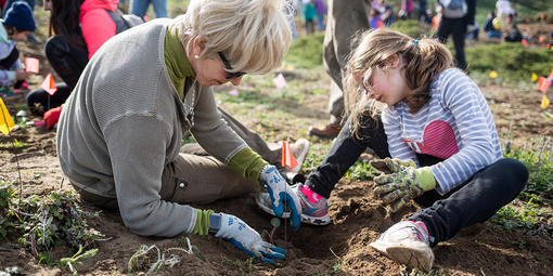 park volunteers planting