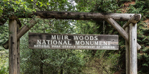 The main entrance to Muir Woods National Monument.