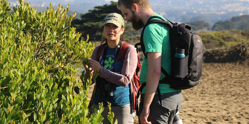 Mary Lee at the 2018 Winter BioBlitz at Ocean Beach.