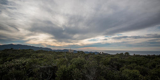 Gray clouds over chapparel on Sweeney Ridge in San Mateo County