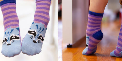 San Francisco Critter Socks Collection.