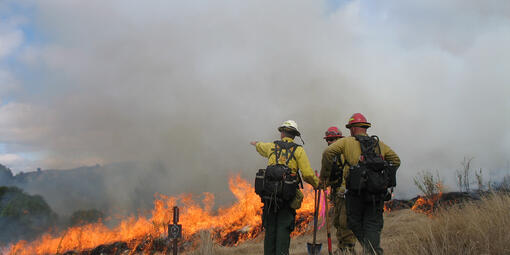 Uniformed firefighters gesture to each other as a prescribed fire burns on the grassy landscape.