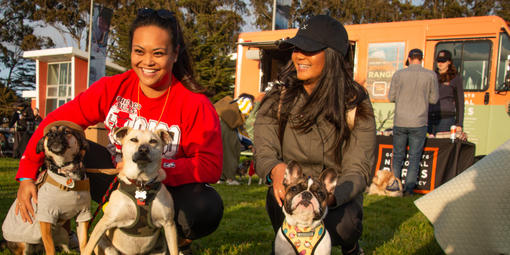 Doggos and their human pals