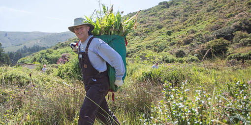 Stewardship Intern at Work