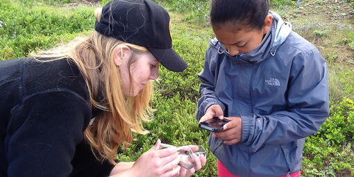 youth using iNaturalist to identify a plant
