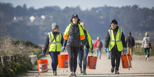 Volunteers participating in a beach cleanup